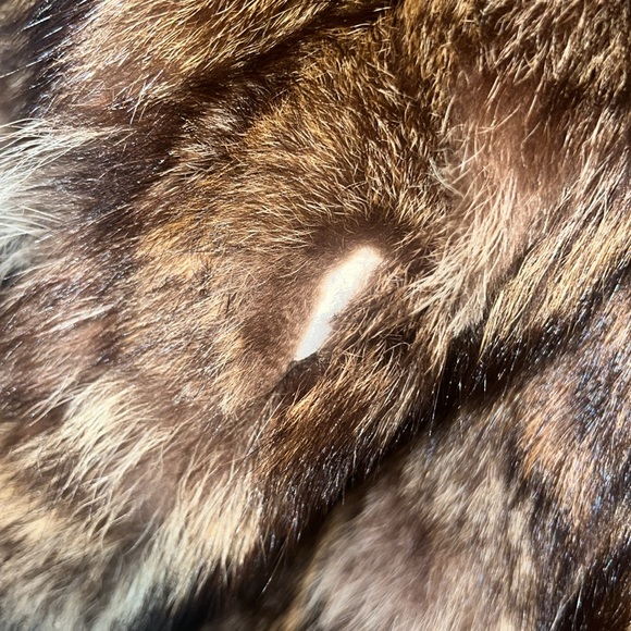 Genuine Fur Bomber Style Coat Size Small Medium Vintage Frankenberger’s - Picture 8 of 17